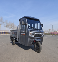 Tricycle électrique de cargaison de corps fermé du moteur 1000W 60V pour des adultes utilisation puissante de ferme avec la batterie au plomb pour l'usage urbain