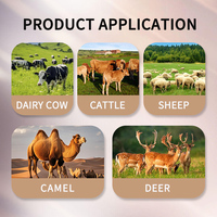 Le glucose enzymatique professionnel pour l'alimentation des animaux augmente le rendement laitier de lactation de pointe pour les ruminants-Poudre d'alimentation animale pour vaches laitières