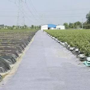 Couverture en béton économique pour <span class=keywords><strong>les</strong></span> petits et grands chantiers de construction - Product Image 2