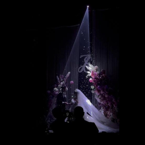 10W 15W 20W RGB Boda Láser Celebración Fiesta Etapa Láser para Evento de Boda - Product Image 4