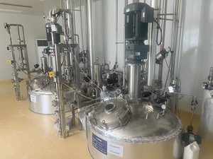 <span class=keywords><strong>Blichmann</strong></span> kỹ thuật Thép không gỉ lên men sử dụng của bioreactor trong công nghệ sinh học biorreactores 100L - Product Image 2