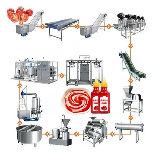 MY Tomato Paste Production Line Small Tomato Sauce Ketchup Make Machine Line for Sale
