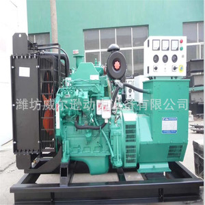 Grupo electrógeno diésel Yuchai de 50 Kw, 400/230V, 50Hz, arranque eléctrico para bombeo de agua en acuicultura - Product Image 2