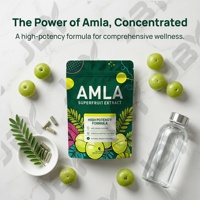 Amla Fruit Extract Capsules 1000mg Dagelijkse Wellness Kruidensupplement Aangepaste Label OEM ODM Groothandel Fabrieksdienst