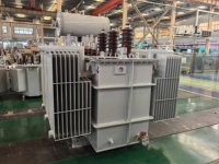 Transformador Trifásico Dyn11 Sumergido en Aceite, Entrada 6kv/10kv/11kv/33kv, Salida 220V para Edificios Comerciales