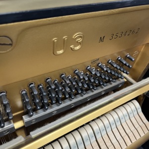<span class=keywords><strong>Cuerdas</strong></span> de bajo extendidas <span class=keywords><strong>Yamaha</strong></span> U3M de 131 cm, clavijas de afinación de tungsteno - Product Image 6