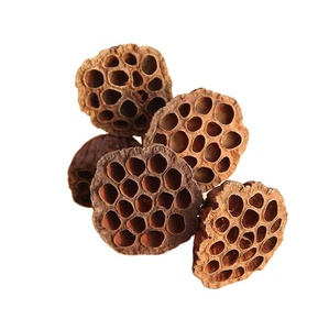 Fiori e Piante Essiccate all'Ingrosso per Decorazioni Domestiche, Ideali per Lauree e Halloween, Inclusi Viburnum e Baccelli di Loto Essiccati - Product Image 4