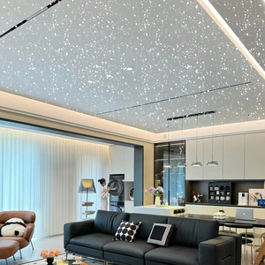 Plasterboard <b>Ceiling</b> <b>Tile</b> 2 X 4 Ft Starry Sky Effect Fiber Optic LED Lights Artistic <b>Ceilings</b> For Living Room Home Theater - Product Image 1