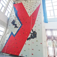 Mur d'escalade facile à installer Équipement d'amusement Mur d'escalade intérieur-extérieur de haute qualité pour parc pour enfants