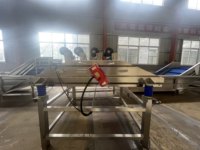 Diverse Fruit-En Groentedraineermachines Met Drainerende Trillingsschermen Voor Fruit-En Groenteverpakkingen Voedselprijs