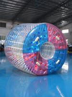 Rouleau aquatique gonflable en PVC, pliable, écologique, pour une personne, tube flottant transparent et coloré, pour lac, rivière, piscine, divertissement