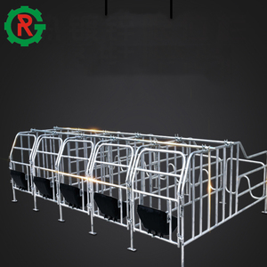 Gabbie per Gestazione e Ingrasso dei Suini - Product Image 5