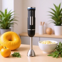 Mixeur Plongeant Portable Multifonction Sans Fil RSC HB022
