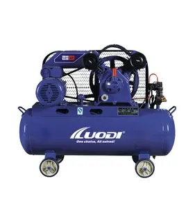 90Liter Silent Air Compressor Low Energy Consumption and High Efficiency V-type Two-pump Head LUODI Small 220V Air Compressor