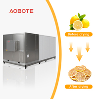 1 ton capaciteit fruitdroogmachine, geen installatie nodig, dehydraterende machines