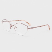 Monture de lunettes en métal, monture optique marron, monture de lunettes de vue en gros, monture de lunettes à branches écaille de tortue, logo personnalisé