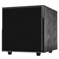 12 inç 300W Güçlü Aktif Subwoofer Siyah Ev Sineması için OEM/ODM
