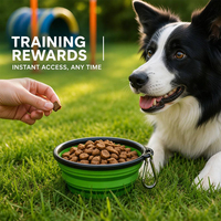 Bol de Voyage Portable en Silicone pour Chien, Écologique, 350 ml, Platine, Accessoire de Pique-nique Extérieur Robuste
