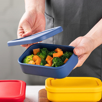 Boîte à lunch en silicone portable, sans BPA, écologique, de qualité alimentaire, pour le stockage des aliments, vente en gros