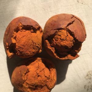 Niu Huang ผงเครื่องเทศหั่นและตากแห้งสมุนไพรจากประเทศจีน - Product Image 5