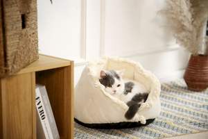 Gemütliches Haustier bett mit Kunstleder Plüsch Bunny Stoff Dekorative Fransen Design für Innen ruhe Verwendung für Katzen und kleine Hunde - Product Image 3