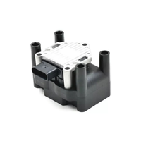 Bobina de encendido de excelente rendimiento 032905106B adecuada para Vw Fox Crossfox Spacefox Polo Bora OEM 032905106B