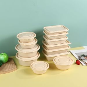 Conteneur alimentaire biodégradable en amidon de maïs, boîte à lunch <span class=keywords><strong>jetable</strong></span> en amidon de maïs, boîte alimentaire biodégradable en amidon de maïs - Product Image 6