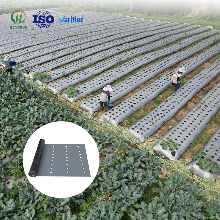 HRQ High Quality LDPE Black Plastic