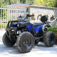 Quad à quatre roues automatique à essence et électrique de 250 cm3 haute puissance, quad pour adultes, UTV, moto tout-terrain