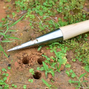 Transplanteur de légumes et de fleurs en gros pour le jardinage, outils agricoles pour la plantation et le retransplantage des semis, comprend une planteuse - Product Image 2
