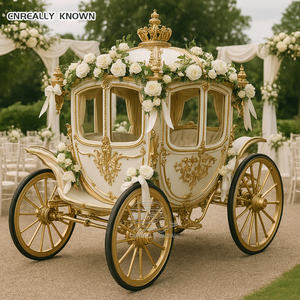 Fabricant de calèches royales de luxe à quatre roues pour visites de parcs, très demandées - Product Image 6