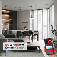 Système d'éclairage sur rail magnétique intelligent WiFi 2.4G Tuya Zigbee Dali avec gradation et 3 températures de couleur modifiables, 90-265V CRI90, pour les marchés russe et européen