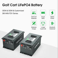 Disesuaikan 48V 100AH-200AH Lithium Ion listrik Golf Cart baterai 105AH 2-4 kursi Golf Cart Lifepo4 Pack disesuaikan 48