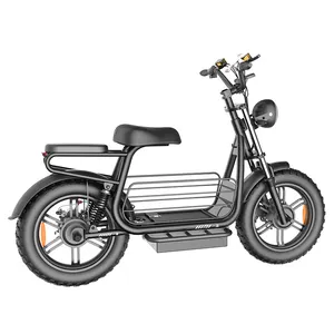 Go for a ride with your pet YIDI new pet electric motorcycle 55km/h dual motors electric dirt bike