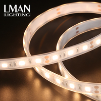 Bande LED décorative étanche IP65 2V/24V 10mm largeur PCB 10 W/M SMD 5050 toutes couleurs pour l'extérieur