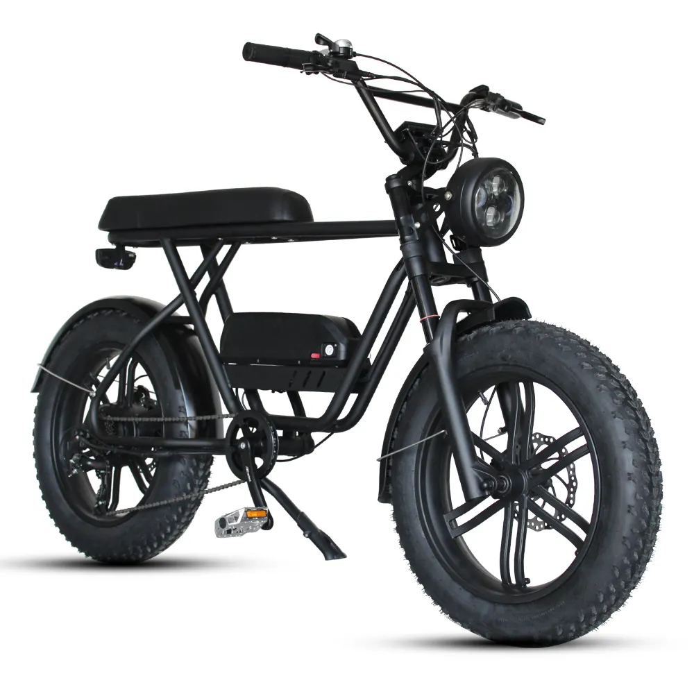 Best Selling 48V 750W 16Ah Battery 45Km/H Fast Retro Vintage Electric Bicycle Electric Bike