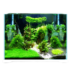 Fantastuc 미니 8L USB LED 물고기 탱크 장식 블록, LED 테이블 그릇 물고기 @ - Product Image 4