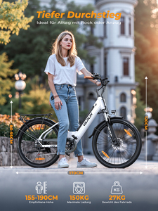 VARUN-Bicicleta Eléctrica de Ciudad con Motor de 250W, Batería de Litio de 26 Pulgadas, 48V, 10,4 AH, 7 Velocidades, Venta Al por Mayor - Product Image 5