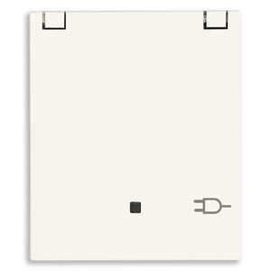 Interruttore a Muro in Rame Bianco Dam 2P+T 16A DE 5.6x4.7x5cm - Product Image 1
