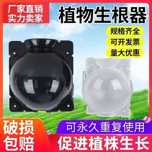 Plant Air Grafting Propagation Box Plastic Rooting Device For Home Gardening Seedling Cultivation Flower Tree Grafting Tool - Product Image 5
