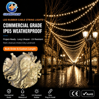 Câble décoratif extérieur LED en forme de corde, éclairage lumineux, caoutchouc chaud 2018, personnalisé IP67, câble en caoutchouc 2 ans