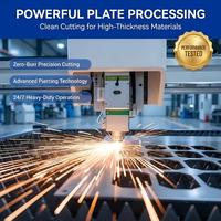 Máquina de Corte Láser de Fibra CNC Automática de 3000W, Cypcut AI/BMP/PLT para Acero Inoxidable, Software Inteligente, Monitoreo Remoto