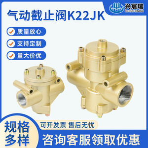 Vanne d'arrêt pneumatique K22JK 1/2 po FNPt x FNPt, vanne de commande directionnelle 2 positions 2 voies pour systèmes gaziers - Product Image 5