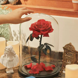 INS en çok satan büyük tek korunmuş güller akrilik kutu kubbe ile sevgililer günü mezuniyet için evlilik için kafes içinde kök - Product Image 1