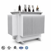 ZHONGAO POWER 10KV 11KV 50 KVA 100 KVA 200 KVA MV HV Yağlı Tip Dağıtım Trafosu Akıllı Enerji Dağıtımı için