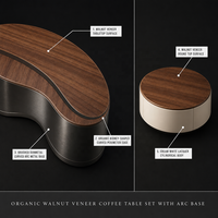 Nouvelle Table Basse Design Moderne 2025 Style Feuille en Bois et Acier avec Rangement pour Salon, Hôtel et Villa