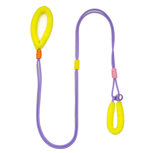 Correa de Nailon de Color Sólido para Perro con Mango Acolchado y Decoración de Piel, Estilo Simple para Perros - Product Image 5