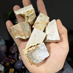 Coral Fósil Natural de Alta Calidad al por Mayor, Piedra de Jade Coral en Bruto para Decoración y Colección, Regalo para Amantes de los Minerales - Product Image 5