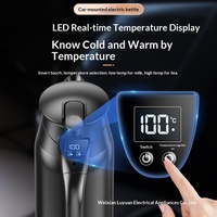Bouilloire Électrique LY800 12V/24V Universelle avec Reconnaissance Automatique de Tension IA, 800ml, Ébullition Rapide de l'Eau et du Thé