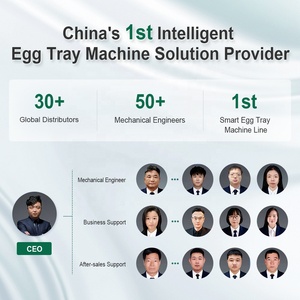 Автоматическая линия для производства лотков для яиц WONGS WS 6-8 (6500-7500 шт./час), формовочная машина из пульпы, энергосберегающее промышленное оборудование - Product Image 6